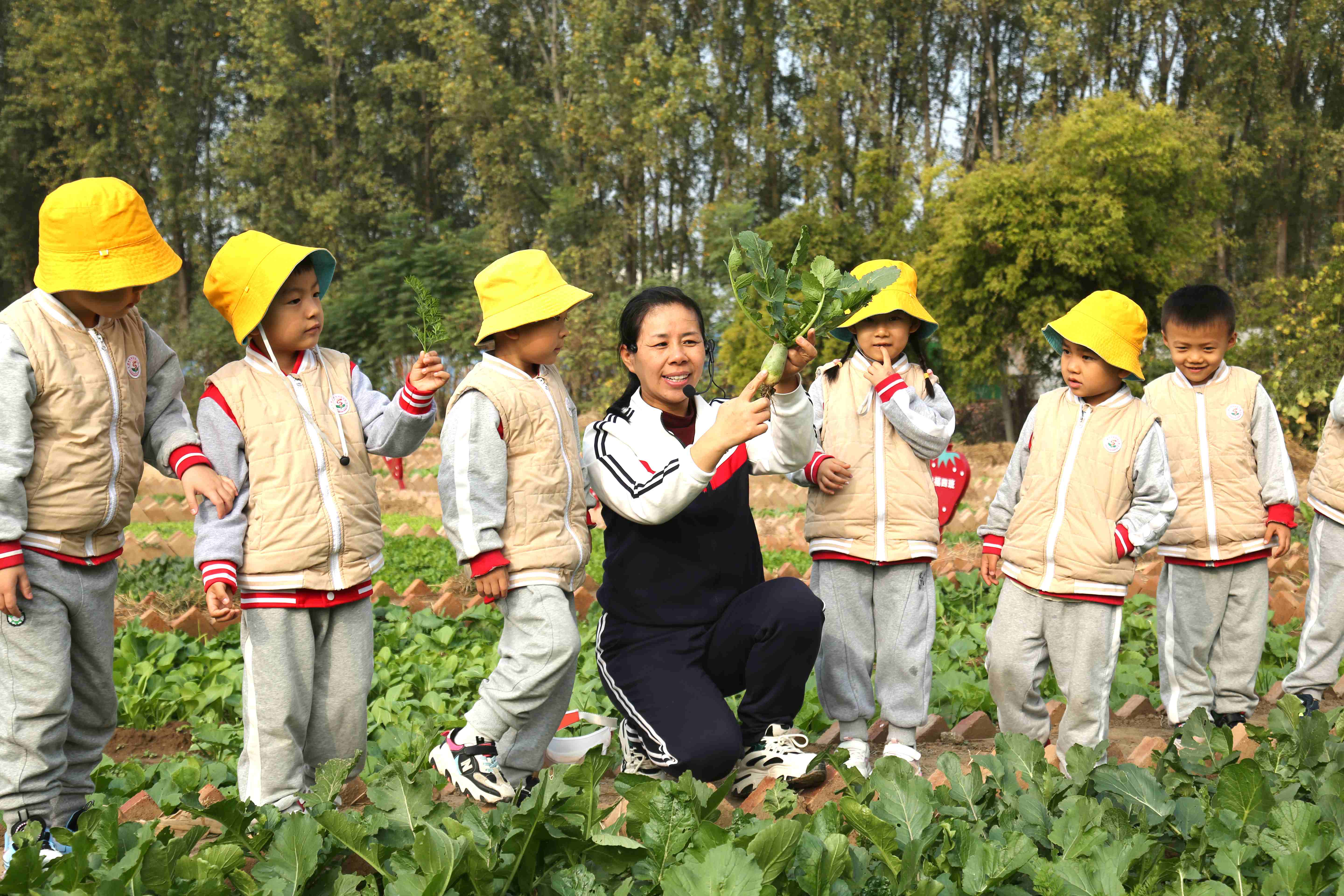 7.漯河市实幼种植基地实践活动.JPG