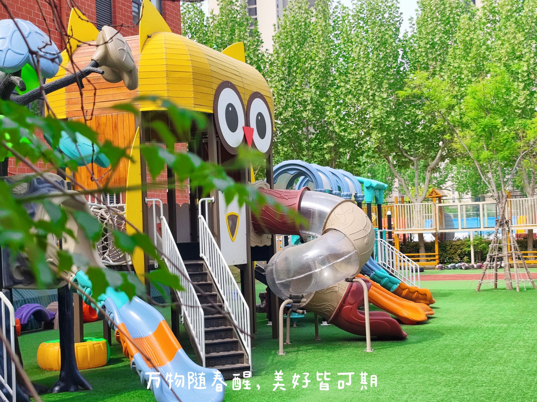 实验幼儿园最美春景.jpg