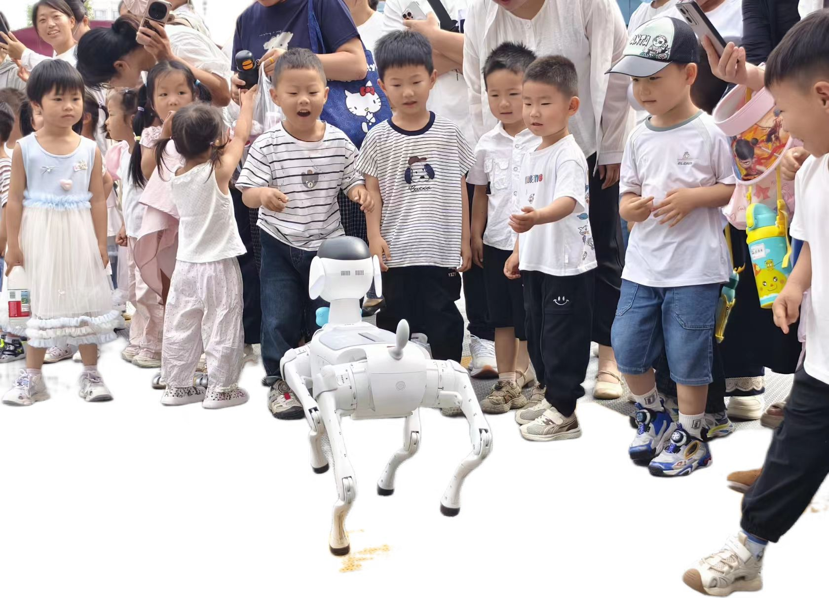 1780313026789670.png 图片 2.png